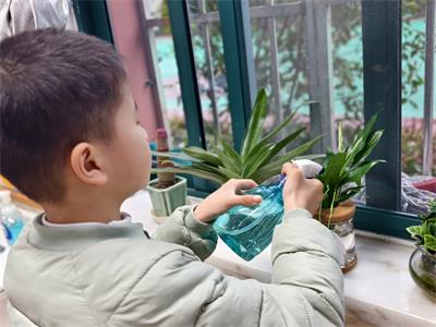 春风化雨润童心 绿意盎然伴成长